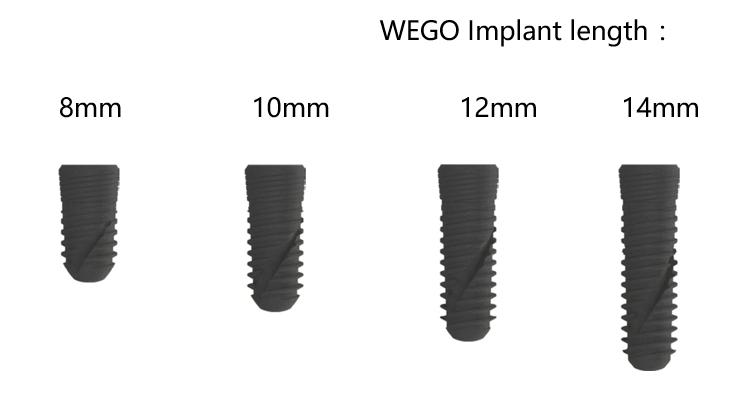 Implant 2